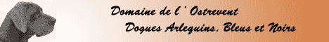 élevage du Domaine de l'Ostrevent