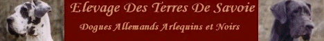 élevage des Terres de Savoie